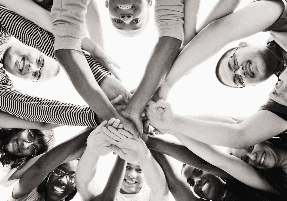 Celebrating diversity and innovation